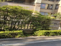 其它圖