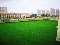 其它圖