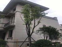 其它圖