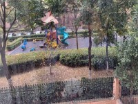 其它圖