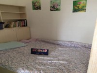 其它圖