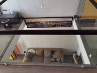 其它圖