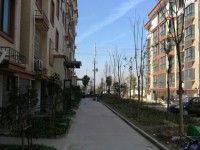 其它圖