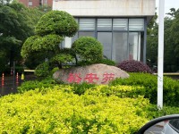 其它圖