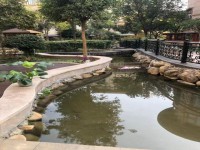 其它圖