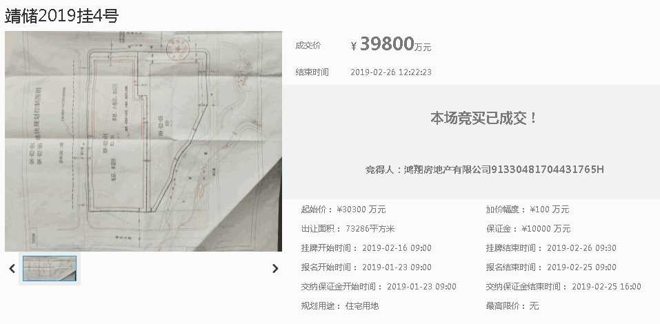 國有建設用地網上交易系統 -副本.jpg